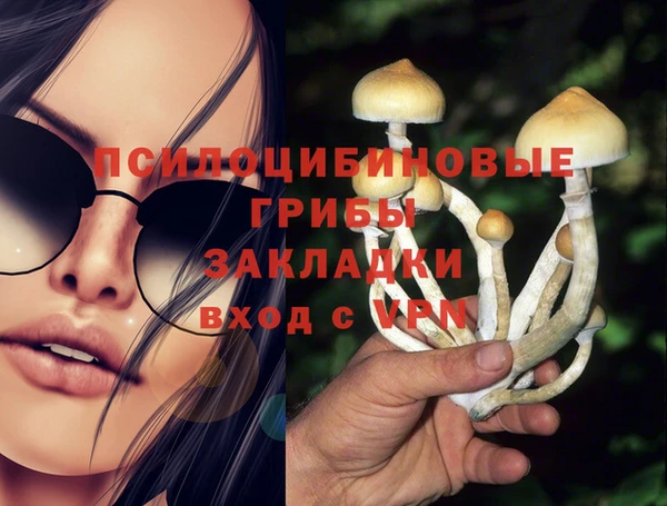 дживик Наволоки