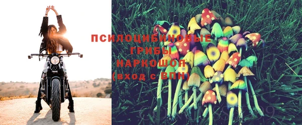 дживик Наволоки