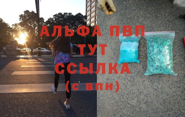 ГАЛЛЮЦИНОГЕННЫЕ ГРИБЫ Горняк