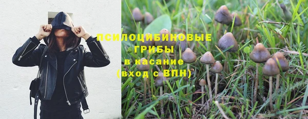 дживик Наволоки